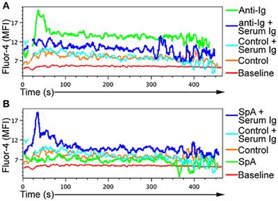 Essential Domain-Dependent Roles Within Soluble IgG for in vivo Superantigen Properties of Staphylococcal Protein A: Resolving the B-Cell Superantigen Paradox